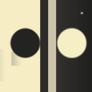 Black and white ball