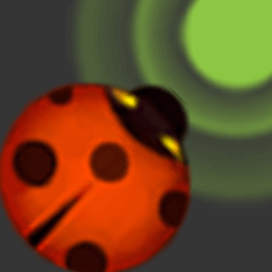 Seven Star Ladybug walks the maz