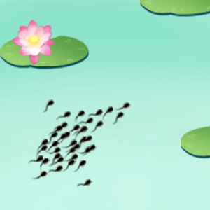 Little Tadpole Looking for M