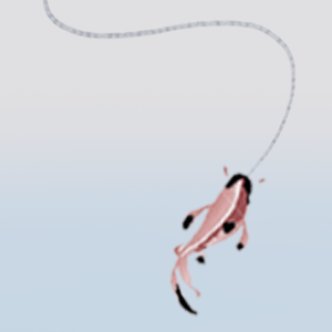 Jiang Taigong fishing