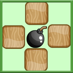 Bomb disposal expert